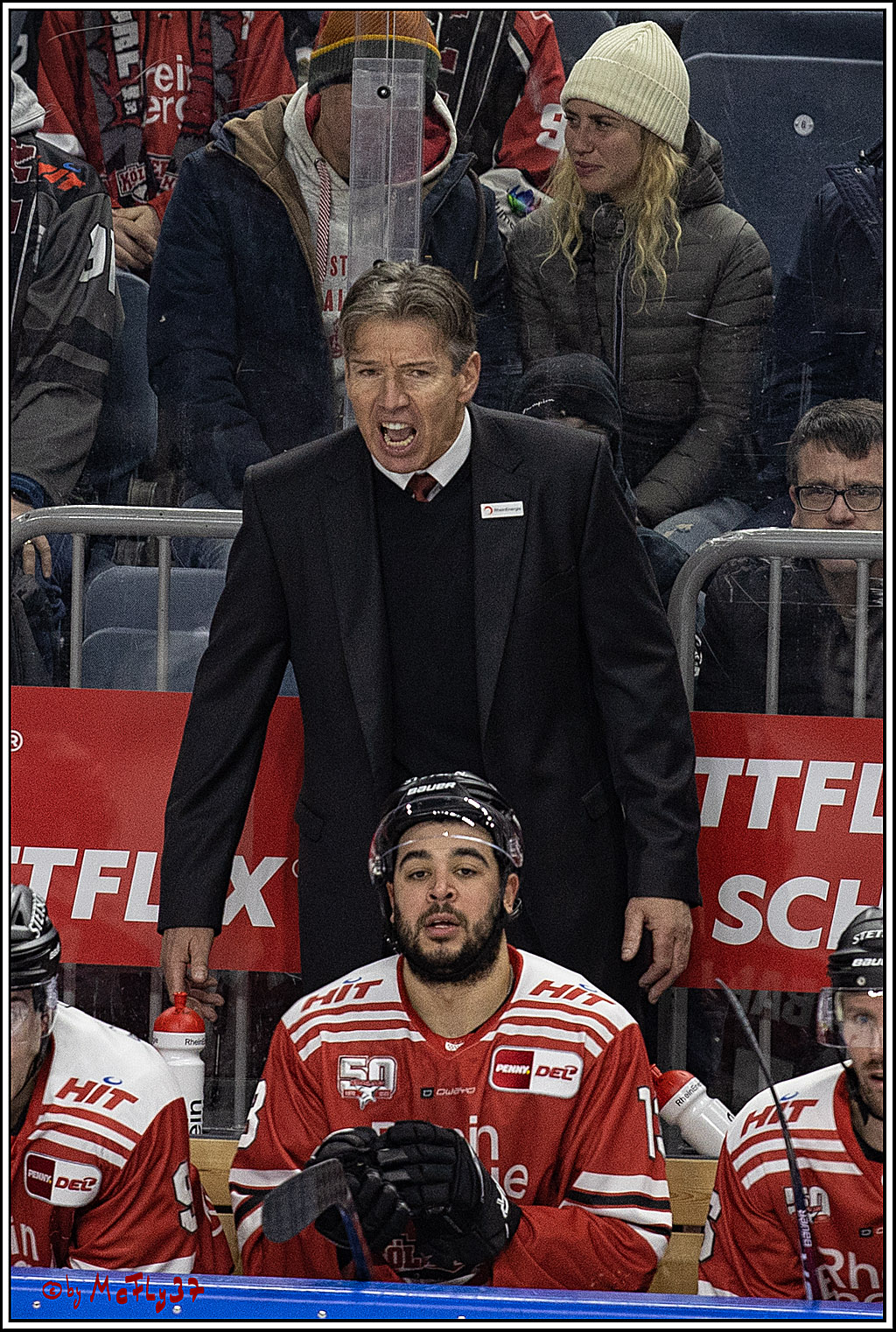 PENNY DEL;  Kölner Haie - Loewen Frankfurt; Köln, 18.12.2022